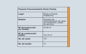 Tabla Proyecto Fraccionamiento Recta Cholula
